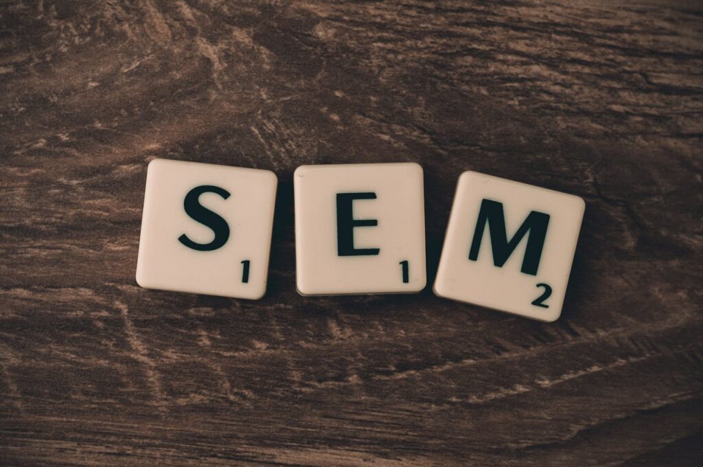 Nicotine Pouch SEO Services How to Get Found in a Category One Brand Already Owns (2)